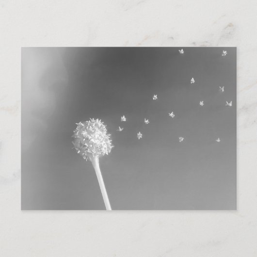 Geist des Windes Postkarte (Vorderseite)