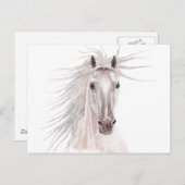 Geist des Windpferdes - Vintag- Postkarte (Vorne/Hinten)