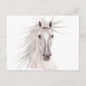 Geist des Windpferdes - Vintag- Postkarte (Vorderseite)