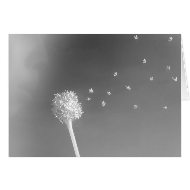 Geist des Winds (Vorderseite (Horizontal))