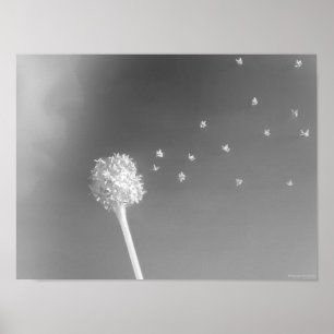 Geist des Winds Poster