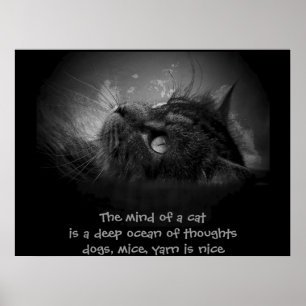 Geist einer Katze Haiku Poster