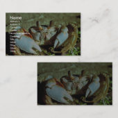 Geist-Krabbe Visitenkarte (Vorne/Hinten)