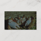 Geist-Krabbe Visitenkarte (Rückseite)