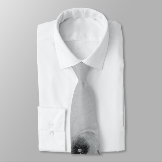 Geist-Piraten-Krawatte Krawatte (Gebunden)