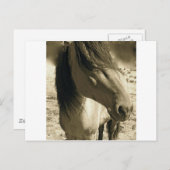 Geist Postkarte (Vorne/Hinten)