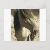 Geist Postkarte (Vorderseite)