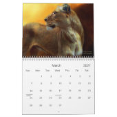 Geist vom wilden - Kalender der Löwe-2010 (Mär 2027)