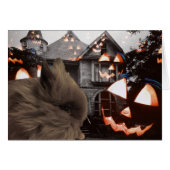 Geister, Gouls und Bunnies (Vorderseite (Horizontal))