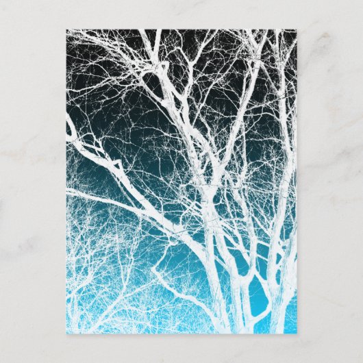 Geisterbaum Postkarte (Vorderseite)