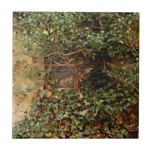 Geisterfenster   fliese