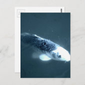 ‚Geisterfisch‘ Postkarte (Vorne/Hinten)