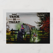 *~* Geisterhandschuhe Augen Schwarze Katze HALLOWE (Vorne/Hinten)