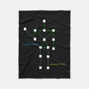 Geisterjagdmuscheln Anomaly Erkanntes Sonnenparano Fleecedecke