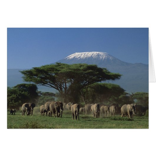 Geistliche des Mt.Kilimanjaro (Vorderseite (Horizontal))