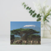Geistliche des Mt.Kilimanjaro Postkarte (Stehend Vorderseite)