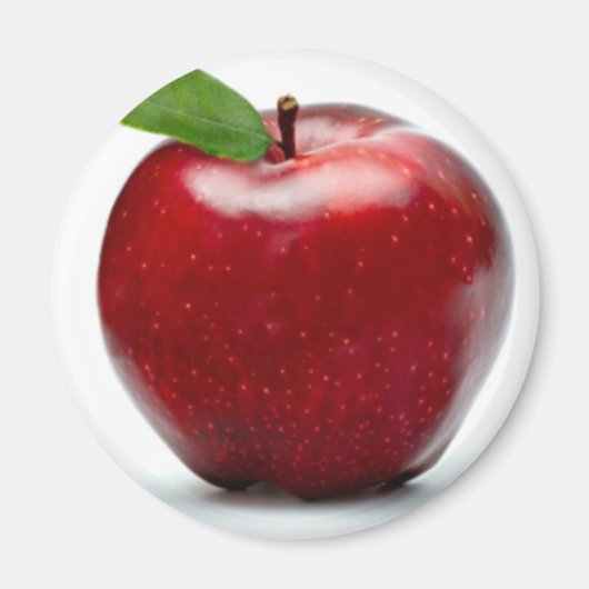 GEKENNZEICHNET MAGNET (Vorne)