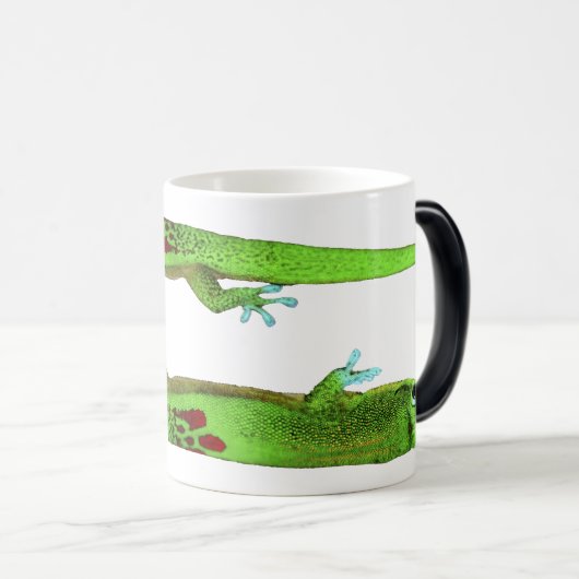 GEKKO MORGEN VERWANDLUNGSTASSE (VorderseiteRechts)