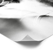 Gekleite Poster (Ecke)