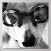 Gekleite Poster (Vorne)