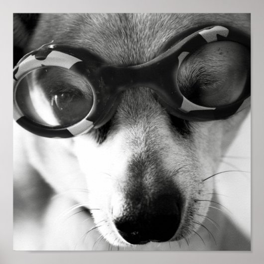 Gekleite Poster (Vorne)