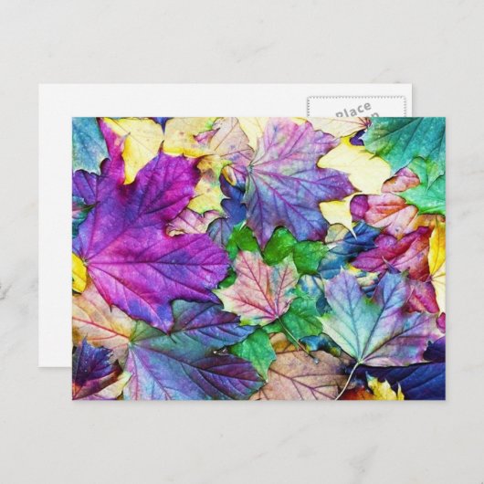 gekleurde blaadjes postkarte (Vorne/Hinten)