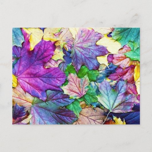 gekleurde blaadjes postkarte (Vorderseite)