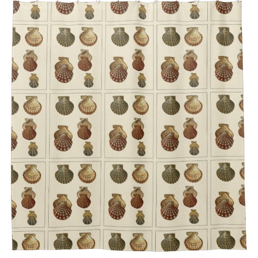 Geknisterte antike Muscheln Duschvorhang (Vorderseite)