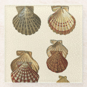 Geknisterte antike Muscheln Glasuntersetzer