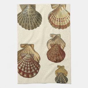 Geknisterte antike Muscheln Handtuch