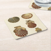 Geknisterte antike Muscheln Rechteckiger Pappuntersetzer (angewinkelt)