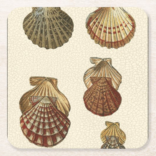 Geknisterte antike Muscheln Rechteckiger Pappuntersetzer (Vorderseite)