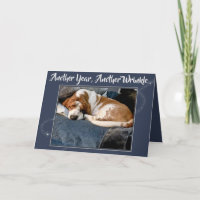 Geknitterter Dachshund-Jagdhund auf