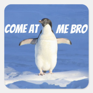 Gekommen an mir Bro Meme Pinguin Quadratischer Aufkleber