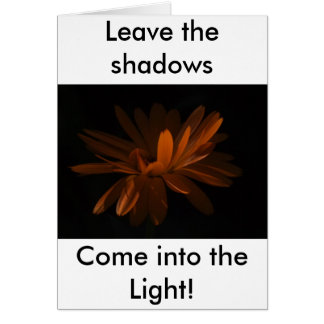 Gekommen in das Licht!