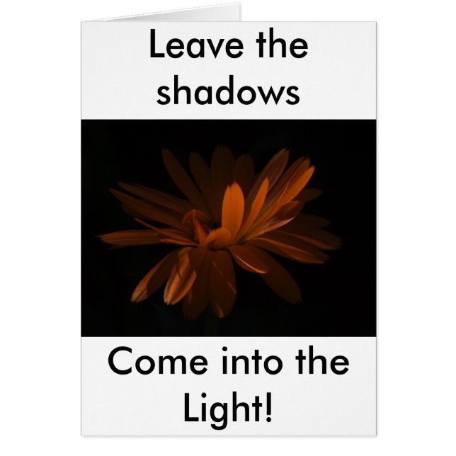 Gekommen in das Licht! (Vorne)