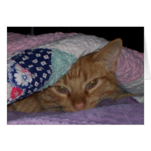 "Gekommener Snuggle-" tägliche Karte