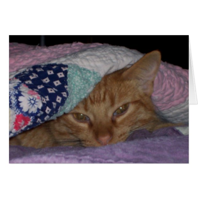 "Gekommener Snuggle-" tägliche Karte (Vorderseite (Horizontal))