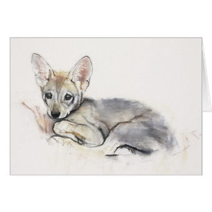 Gekräuselter arabischer Wolf-Welpe 2009