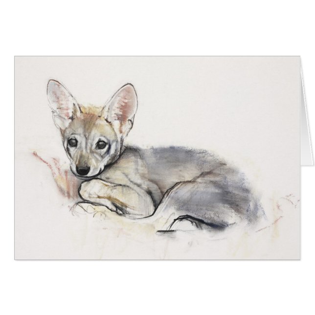 Gekräuselter arabischer Wolf-Welpe 2009 (Vorderseite (Horizontal))