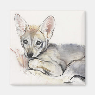 Gekräuselter arabischer Wolf-Welpe 2009 Magnet