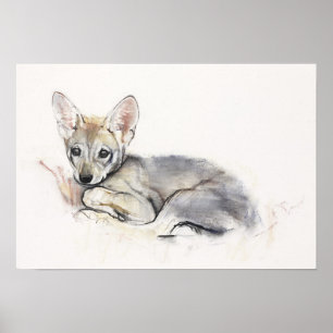 Gekräuselter arabischer Wolf-Welpe 2009 Poster