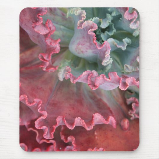 Gekräuseltes echeveria mousepad (Vorne)