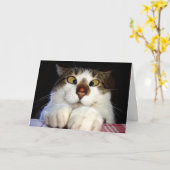 Gekreuzter mit Augen Katzen-und Karte (Gelbe Blume)