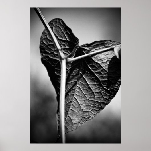 gekreuztes Herz Poster (Vorne)