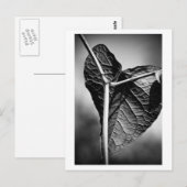 gekreuztes Herz Postkarte (Vorne/Hinten)