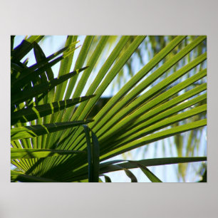 Gekreuztes Palmenplakat Poster