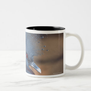 gekrönte Taube Zweifarbige Tasse