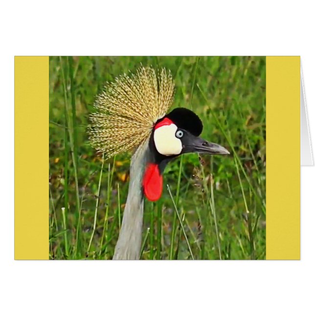 Gekrönter Kran (Vorderseite (Horizontal))