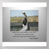 Gekümmert Poster (Vorne)